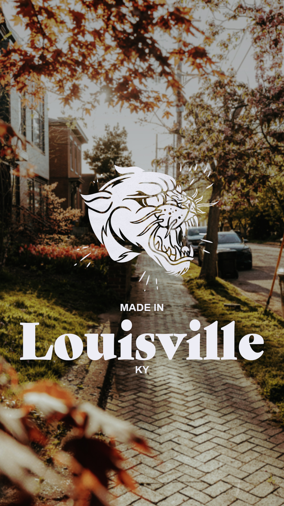 PAPERCUT — boutique creative strategy agency, Louisville Kentucky